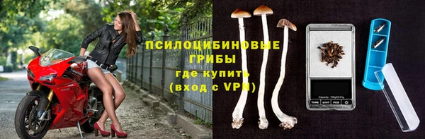 крисы Балахна